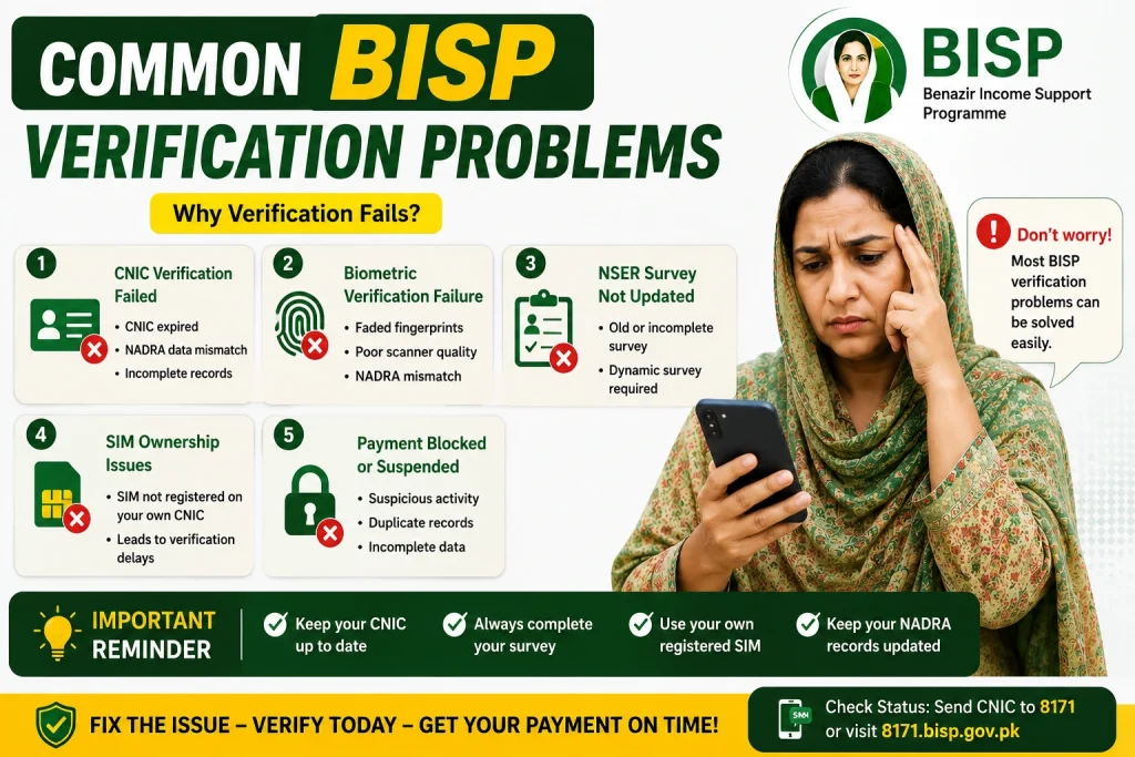 Common BISP Verification Problems